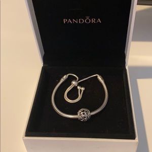 Pandora bracelet